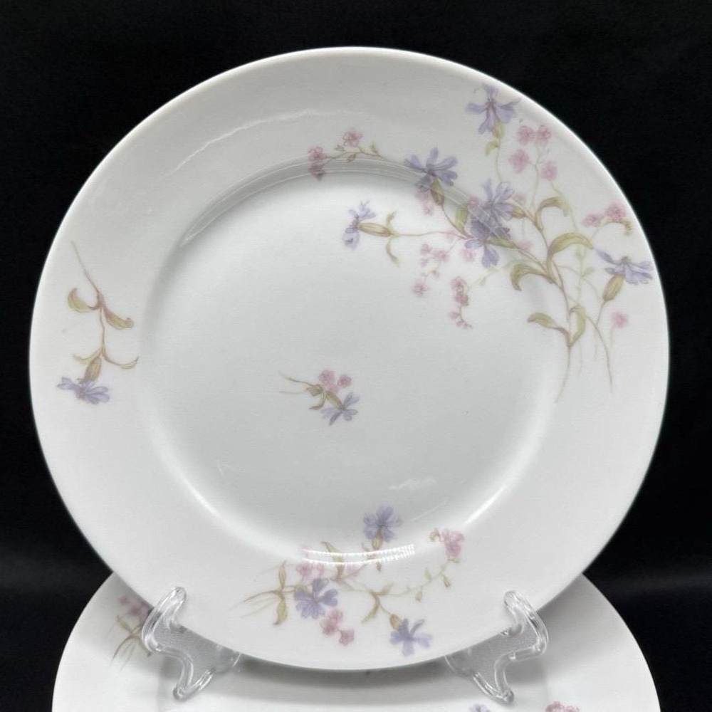 Set of 6 Antique JP Limoges France Floral Porcelain Plates J Pouyat 1900 6.25in